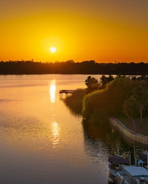 Disney Springs