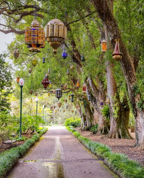 20-Bedroom Luxury Estates