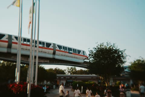 Make the Most of Magic Kingdom